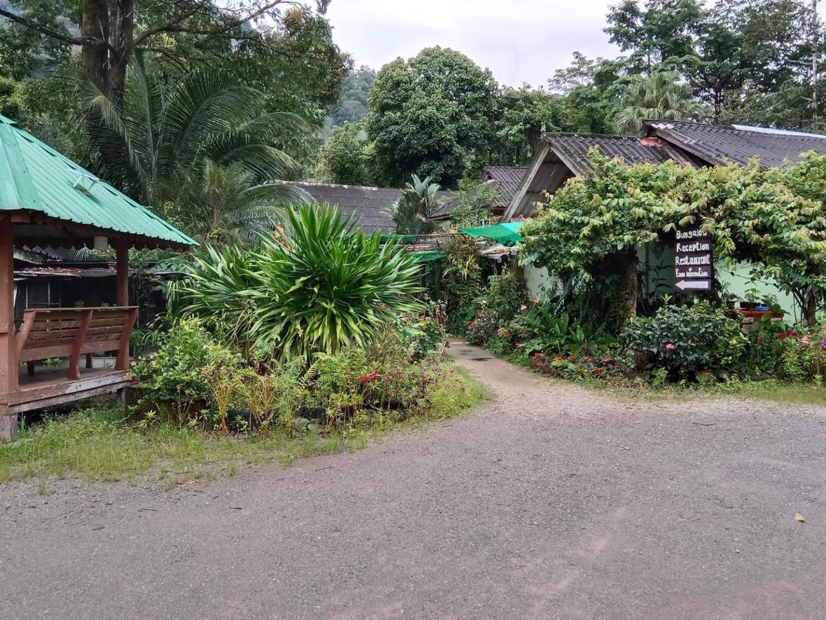 Tree Tops River Huts Khao Sok National Park Εξωτερικό φωτογραφία