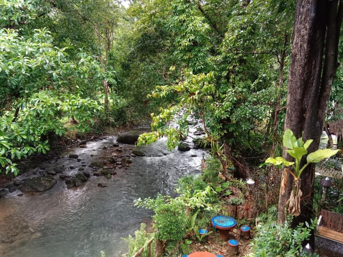 Tree Tops River Huts Khao Sok National Park Εξωτερικό φωτογραφία