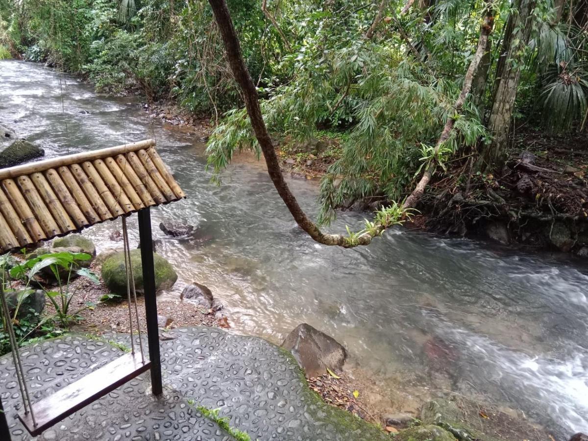 Tree Tops River Huts Khao Sok National Park Εξωτερικό φωτογραφία