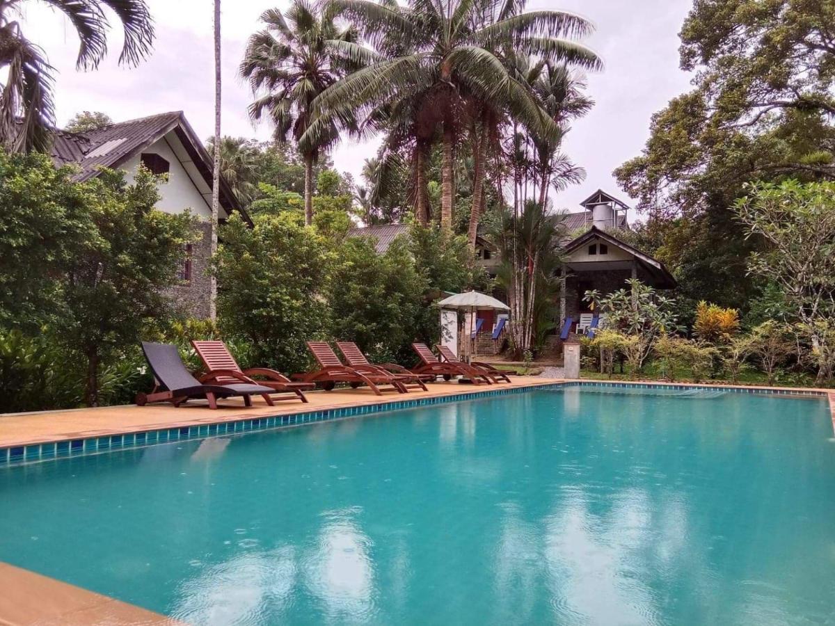 Tree Tops River Huts Khao Sok National Park Εξωτερικό φωτογραφία