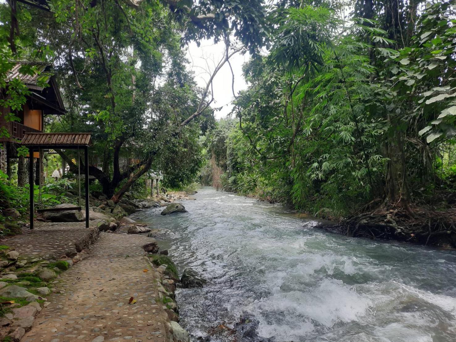 Tree Tops River Huts Khao Sok National Park Εξωτερικό φωτογραφία