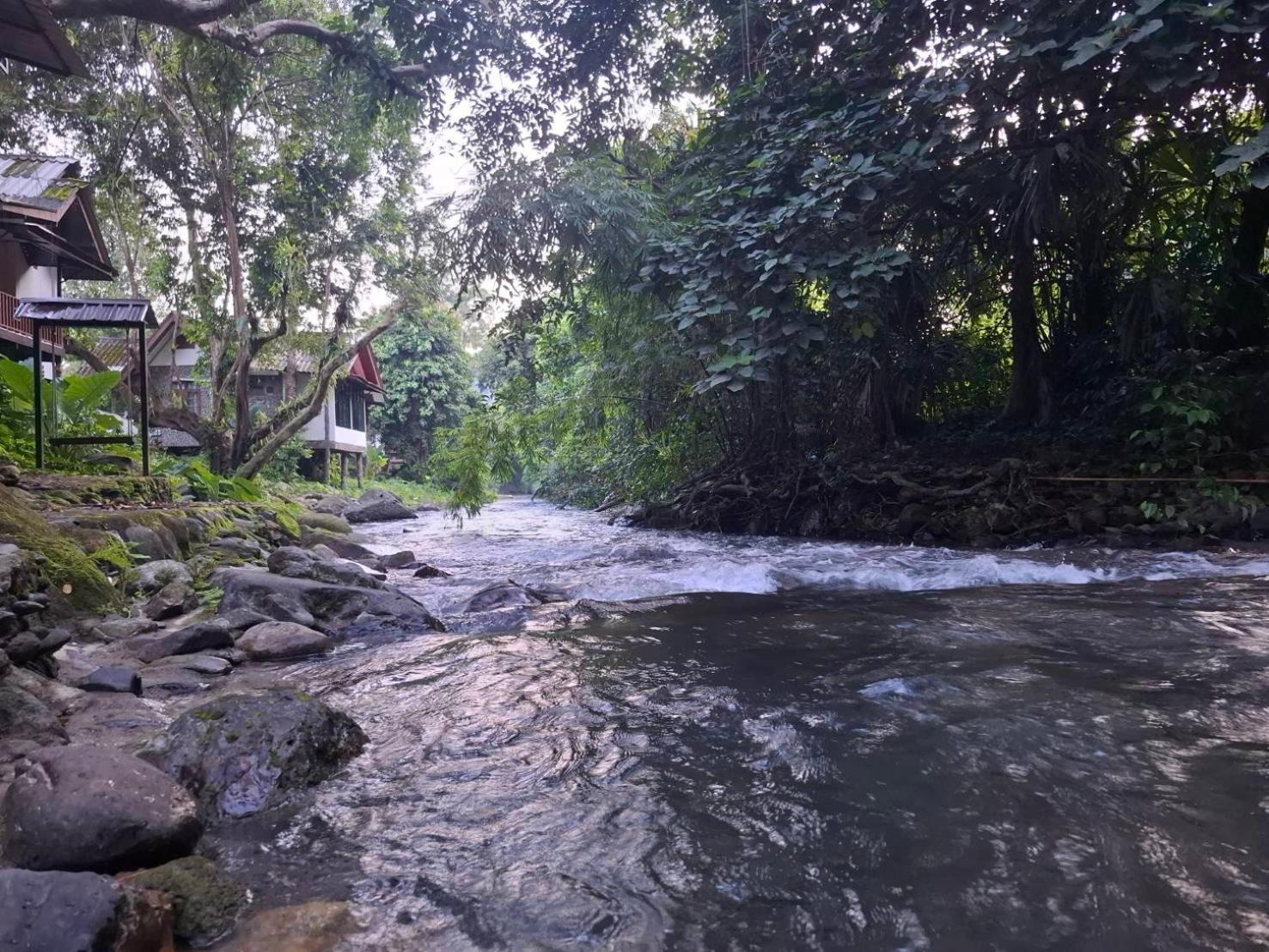 Tree Tops River Huts Khao Sok National Park Εξωτερικό φωτογραφία