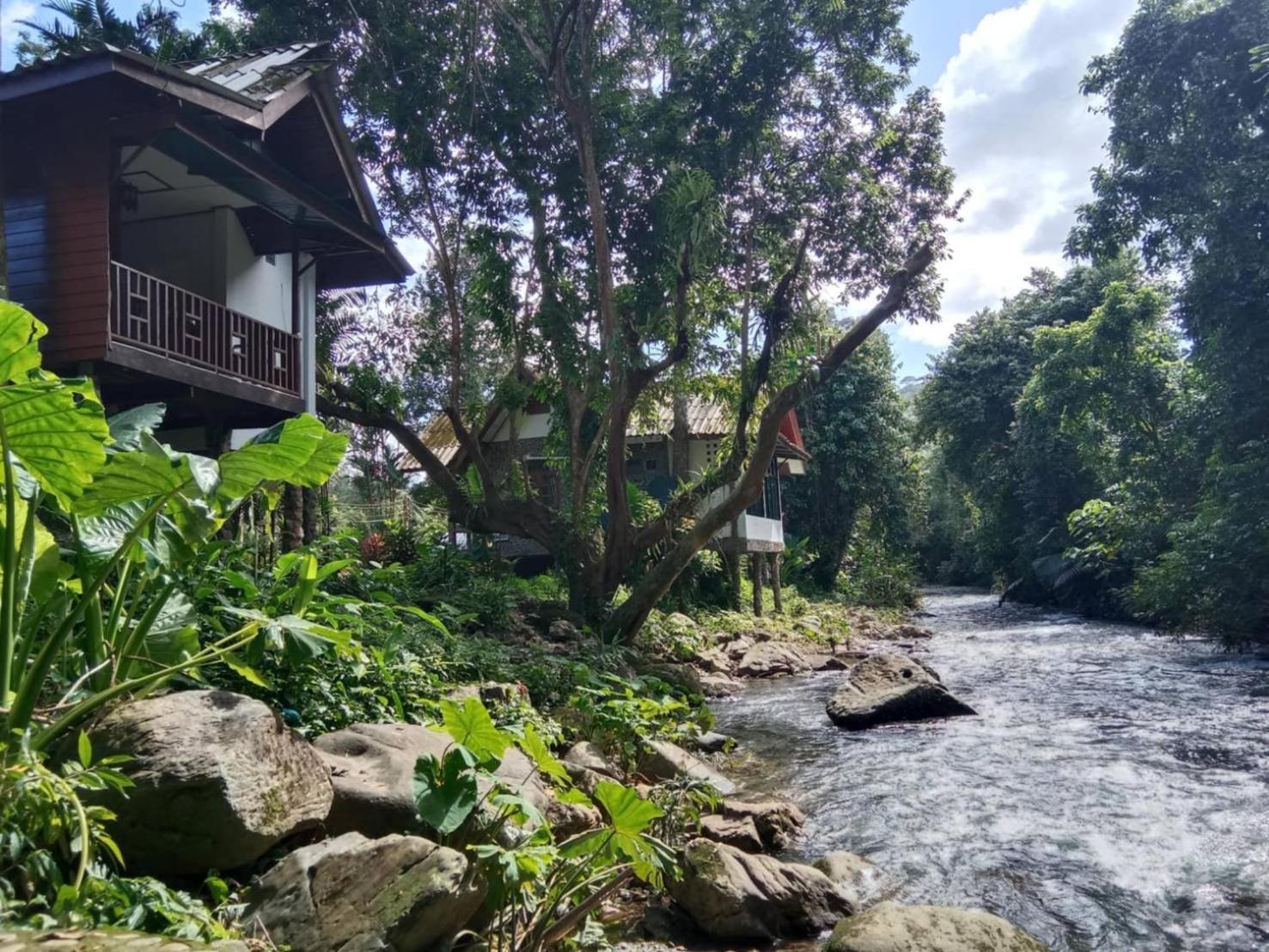 Tree Tops River Huts Khao Sok National Park Εξωτερικό φωτογραφία